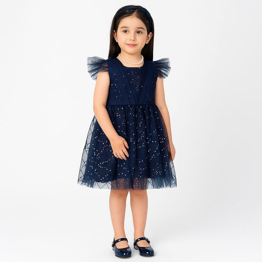 Fancy Frock Navy Blue
